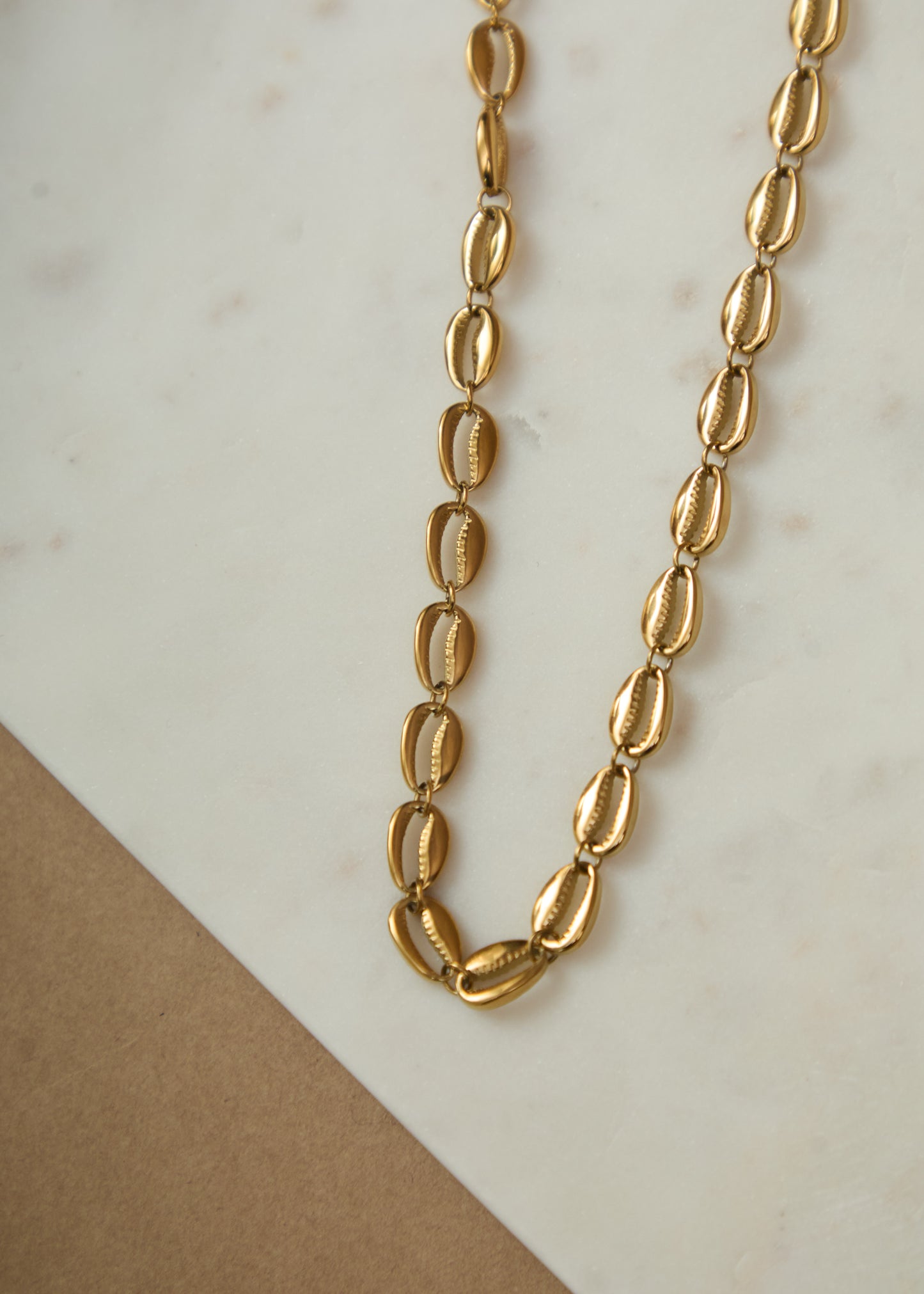 NOVA SHELL NECKLACE